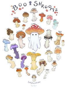 a bunch of different types of mushrooms on a white background with the words boo or shroomss