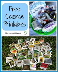 the free science printables for montessor nature