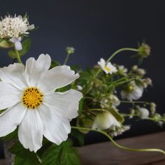 some white flowers are in a vase on a table