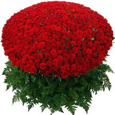 a large bouquet of red carnations and greenery in the shape of a ball