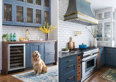 a dog sitting in the middle of a kitchen next to a stove top oven and sink