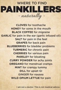 Healing Herbs Medicine Natural Remedies, Medicinal Foods, Holistic Nutrition Recipes, Natural Pain Killers, Holistic Health Nutrition, For The Plot, Herbal Remedies Recipes, Sick Remedies, Medical Herbs