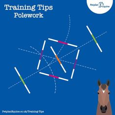 a horse is standing in front of a blue background with the words training tips polework