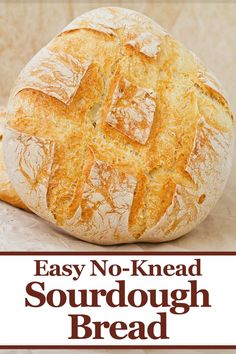 an easy no knead sourdough bread recipe