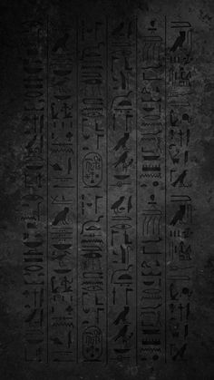 an ancient egyptian hieroglyphic with birds and symbols on it's sides