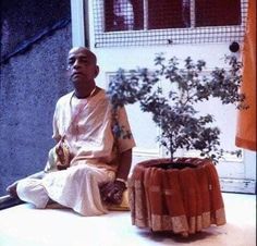 a man sitting on the ground next to a small tree