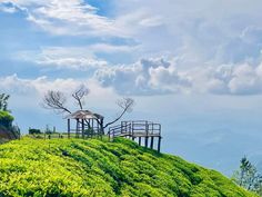 Diyanagala is a beautiful place hidden in Badulla. 🥰🌸🌻 Diyanagara view point at the foot of Namunukula mountain is a place where you can experience the natural beauty to the fullest.
The beautiful view point at the foot of Namunukula#দিয়নাগ্ল Diyanagala 💚🌱🍂
If you ask for something, don't destroy the beautiful environment 🙏 Take the things you brought. Keep the memories 💚
You have to go to Diyanagala, you have to turn up from the 3rd canal on the Badulla Passara road and you have to continue. There is a tea factory. After passing it, you have to turn left. At the turning point, there is a concrete road. One view point is found🔥
I will say again, if you go, leDiyanagala footprints ❤️👣🏃
#Nature #HilltopView #TeaPlantation #SereneEscape #TravelGoals #ScenicBeauty #RusticVibe Tea Factory, Beautiful Environment, View Point, Turning Point, Beautiful View, Beautiful Place, Travel Goals