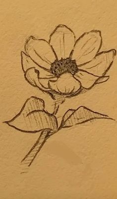 a drawing of a flower on a piece of paper that has been drawn with pencil