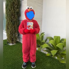 a person in a sesame street costume