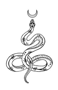 a black and white drawing of a snake with the moon in the sky above it