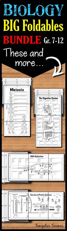 the big foldable worksheet is shown for students to use