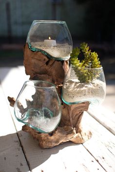 two glass vases with plants in them are sitting on a wooden table outside,