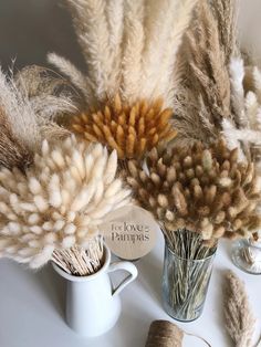 some dried plants are sitting in vases on a white table with the words bunny tails written above them