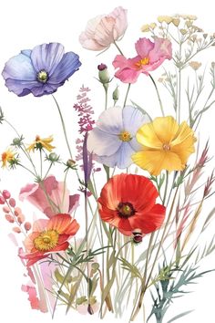 an image of colorful flowers on a white background in watercolor and pen drawing style