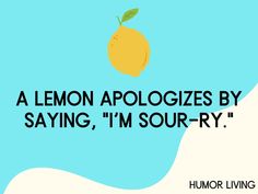 a lemon with the words, a lemon apologes by saying, i'm sour - ry