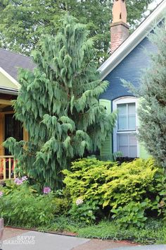 a blue house with green shutters and trees in the front yard, next to bushes