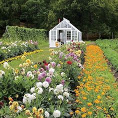 a garden filled with lots of flowers next to a white house in the middle of a field