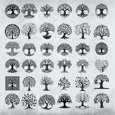 the tree of life is shown in black and white, with many different designs on it