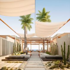 an outdoor area with benches and plants on the ground, under shade sailed over by palm trees