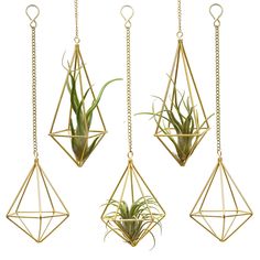 PRICES MAY VARY. Geometric Himmeli Décor: Named from Germanic Word 'Himmel' Meaning Sky or Heaven. Adds Modern Flair and Warm Atmosphere to Home. Note: The Plants and Props in the Photos are Not Included. Air Plant Holder Unique: Special Geometric Shape Provides Growth Space for Air Plants to Absorb Air and Water, Especially Suitable for Air Plants, Air Ferns, Tillandsias, Succulents Plants, Macrame Plants, and Other Artificial Flowers. Metal Plant Holder Package Includes: 5 pcs Hanging Air Plan House Decor Living Room, Types Of Houses Styles, Air Fern, Plant Holders Indoor, Plant Lover Gifts, Geometric Planter, Air Plant Display, Tillandsia Air Plant, Hanging Plants Indoor