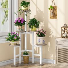 there are many potted plants on the corner shelf