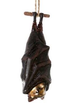 a bat hanging upside down on a string