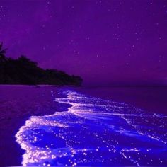 the beach is lit up with purple light and stars in the night sky above it