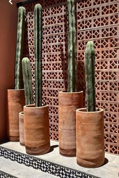 three large cactuses are sitting next to each other on the steps in front of a wall