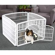 a small dog in a large white cage