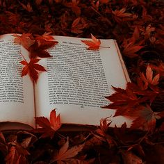 an open book laying in the grass with red leaves on it's sides and bottom