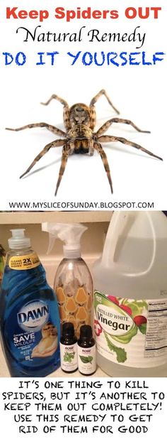 a spider sitting on top of a sink next to a bottle of deter and bottles of mouthwash