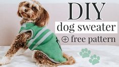 a dog wearing a green sweater sitting on top of a bed with the words diy dog sweater free pattern