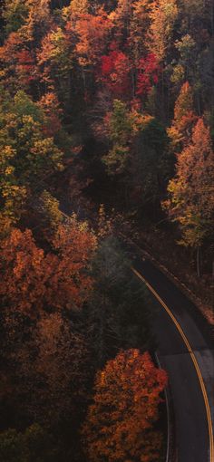 an aerial view of a winding road surrounded by trees in the fall with orange and yellow leaves