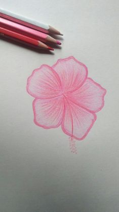 a drawing of a pink flower and two pencils