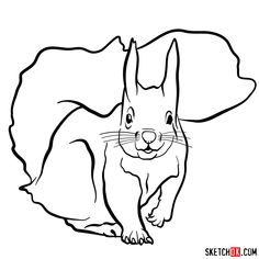 the squirrel is running and smiling coloring page