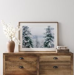 a vase with flowers sitting on top of a wooden dresser next to a framed photograph