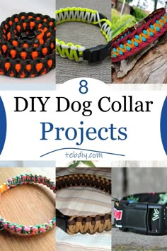 8 diy dog collar projects