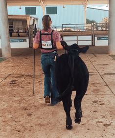 a woman is leading a black cow in an enclosed area with concrete floors and pillars