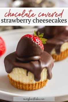 chocolate covered strawberry cheesecakes on a white plate with strawberries in the background