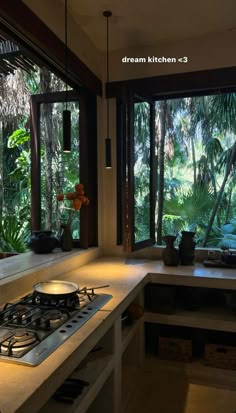 a stove top oven sitting inside of a kitchen next to a window filled with plants