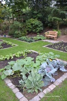 a garden with lots of green plants in it and a bench on the other side