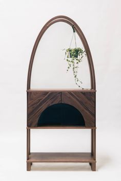 a wooden shelf with a potted plant in it and a mirror on the top