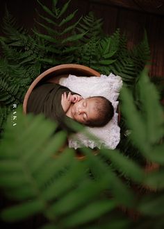 a newborn baby is sleeping in a wooden bowl surrounded by green plants and leaves on a white blanket