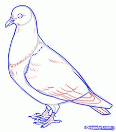 a drawing of a pigeon sitting on top of a white surface with blue lines in the background