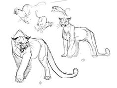 some sketches of different types of animals