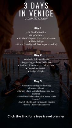 the 3 days in venice flyer