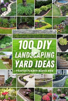 many different pictures of landscaping with the words'100 diy landscaping yard ideas '