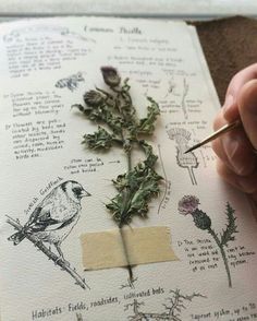 a hand holding a pen and writing on top of a book with plants in it