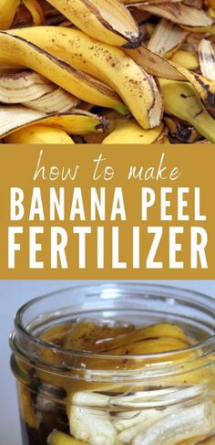 how to make banana peel fertilizer in a glass jar with bananas on the side