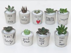 small cement planters with plants in them on a white surface, including one that says i love santa